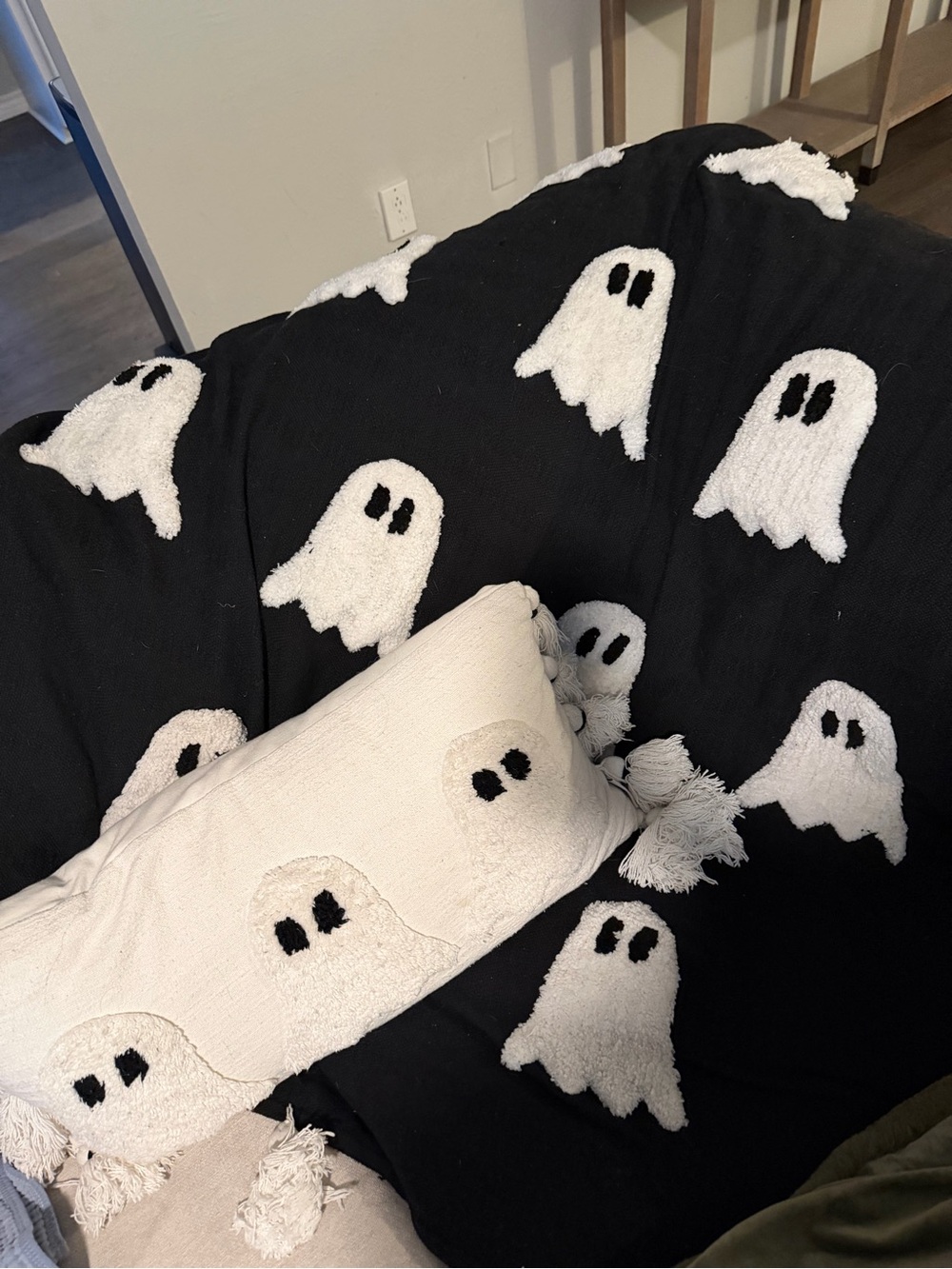 Rachel Zoe Ghost Blanket AND Pillow